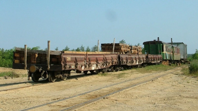 Легендарная узкоколейка Оха – Ноглики. Самый медленный поезд в мире