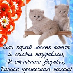Всемирный день кошек 2024: картинки 