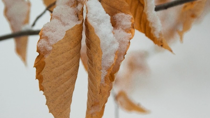 Церковный праздник 28 ноября 2023 года: что строго нельзя делать в этот день