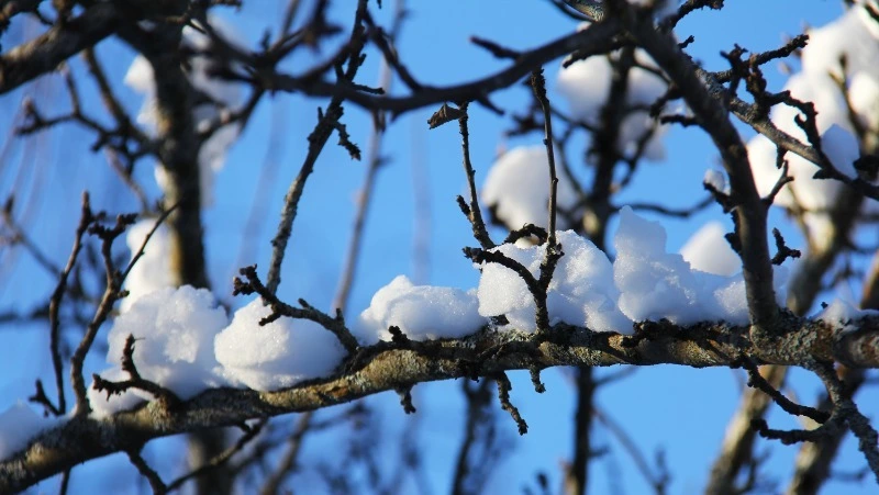 Народные приметы на 4 января 2024 года: что строго нельзя делать в этот день