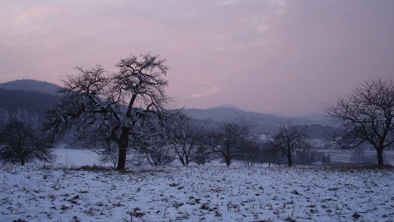Церковный праздник 15 января 2024 года: что строго нельзя делать в этот день