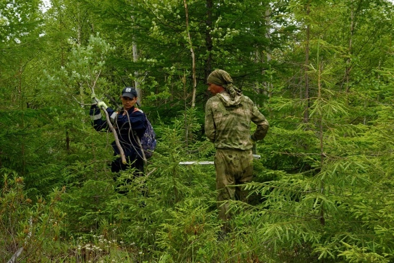 Пока зелёные «подростки»  не окрепнут…