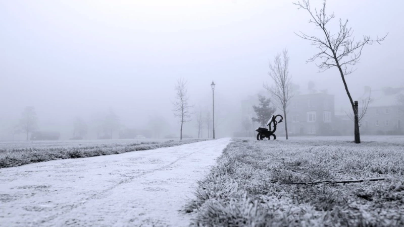 Снег и -28 градусов ожидается на Сахалине и Курилах 26 декабря