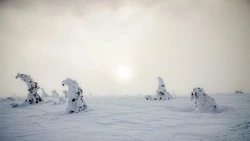 Снег и +1 градус: погода на Сахалине и Курилах 15 февраля       