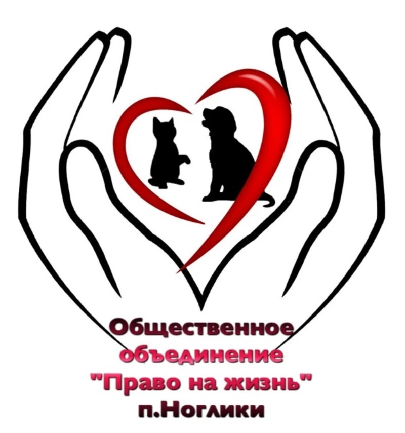 Большая работа общественников