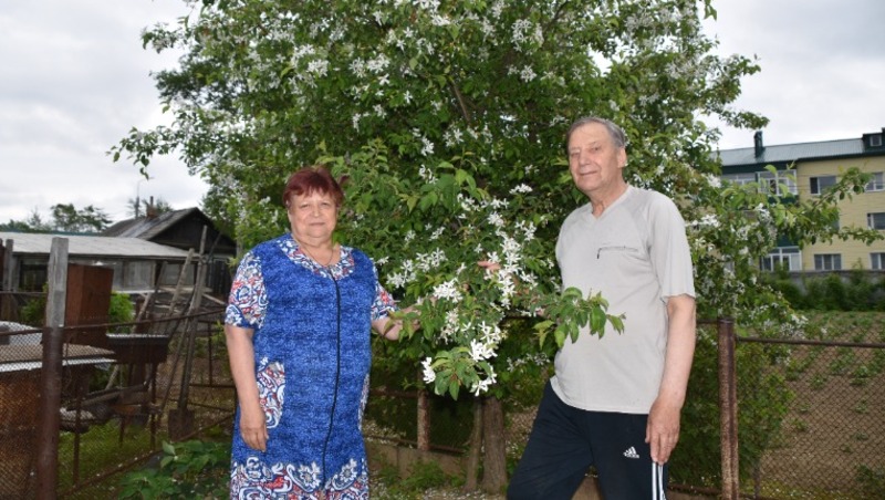 Согласие и лад