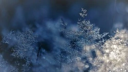 Небольшие осадки и +8 градусов: погода в Сахалинской области во вторник