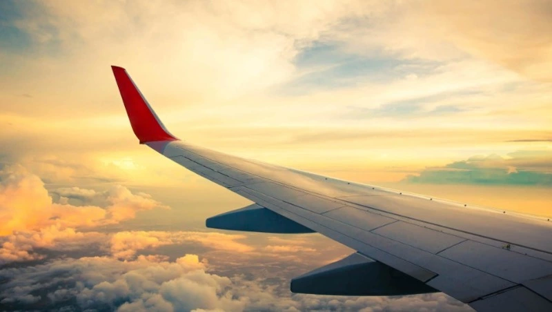 Сервисом «Лист ожидания» за неделю воспользовались 19 жителей Сахалинской области