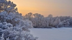 Церковный праздник 17 января 2024 года: что строго нельзя делать в этот день