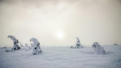 Снег и +1 градус: погода на Сахалине и Курилах 15 февраля       