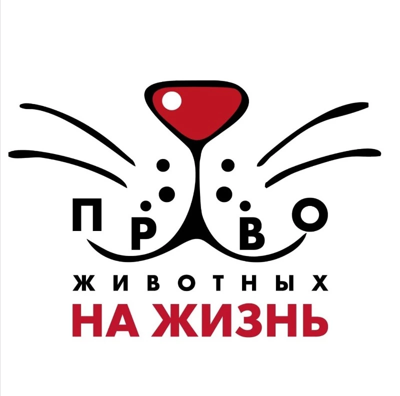 Проблема района – на плечах волонтёров!