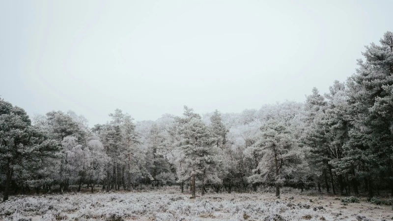 Церковный праздник 31 января 2024 года: что строго нельзя делать в этот день