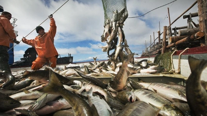 Рост на 43 процента