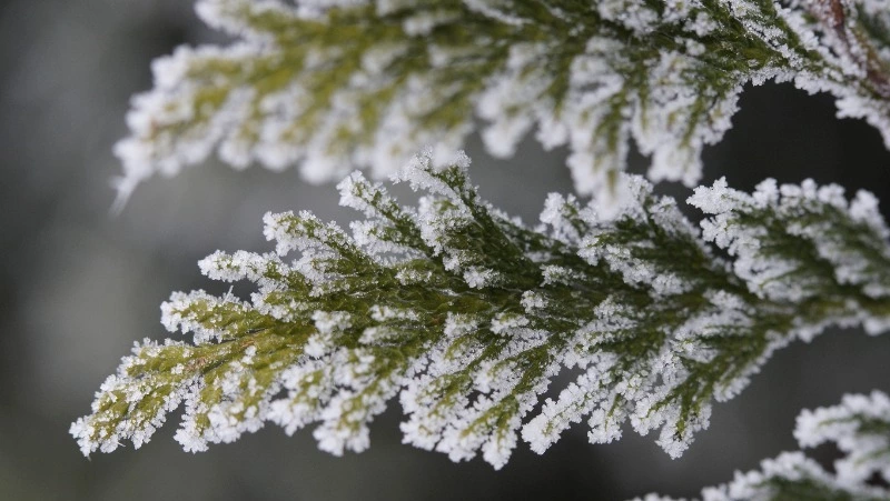 Церковный праздник 28 декабря 2023 года: что строго нельзя делать в этот день