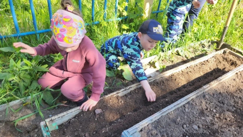 И клумбы, и грядки в «Сказке»