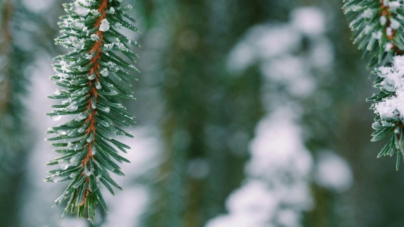 Народные приметы на 22 января 2024 года: что строго нельзя делать в этот день