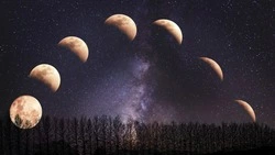 Новолуние в июне 2024 года: дата, как повлияет на знаки зодиака, в чем опасность    