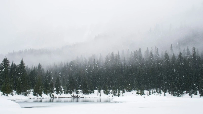 Порывистый ветер и +1 градус: погода на Сахалине и Курилах 30 января 