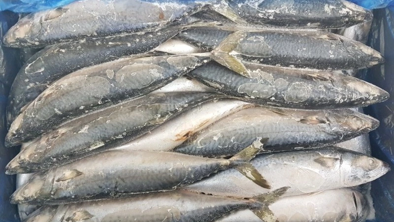 Рыба доступна и по цене, и по ассортименту