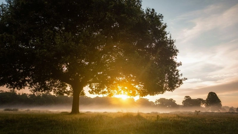 Церковный праздник 12 июля 2024: народные приметы, что категорически нельзя делать в этот день 