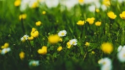 Народные приметы 10 мая 2024 года: что строго нельзя делать в этот день