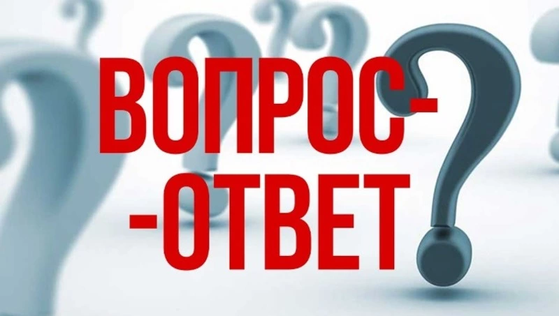 «Что нам стоит дом построить…»