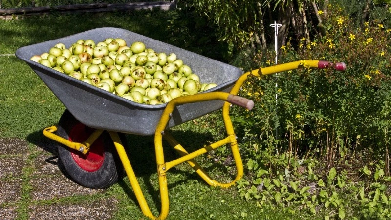 Народные приметы 1 мая 2024 года: что строго нельзя делать в этот день 