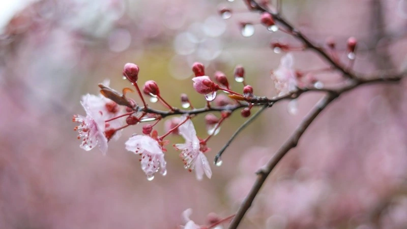 Народные приметы на 24 мая 2024 года: что строго нельзя делать в этот день  