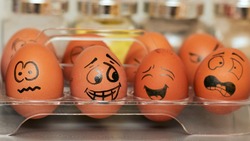 Ученые выяснили, сколько яиц можно есть каждый день без вреда для здоровья  