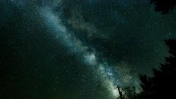 Ежедневный гороскоп на 20 августа 2024 года для всех знаков зодиака