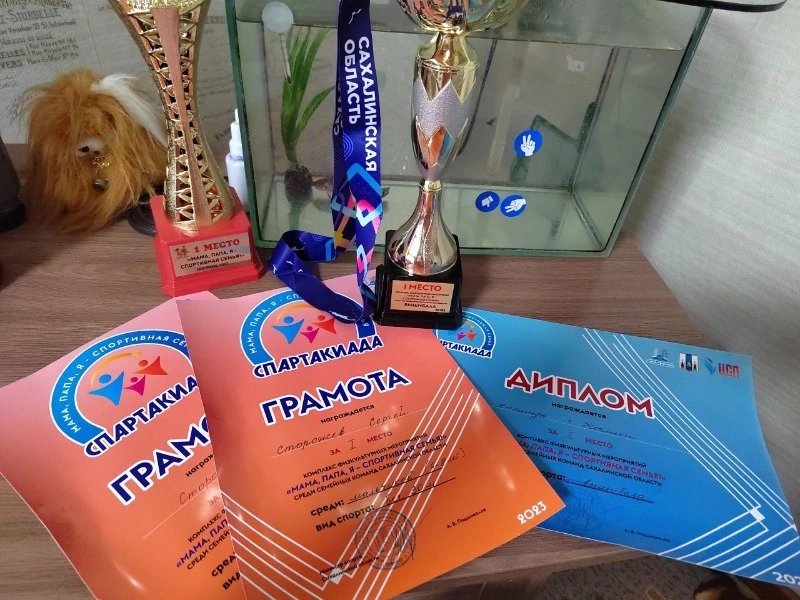 Показали хорошие результаты