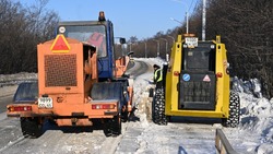 Опять снег…