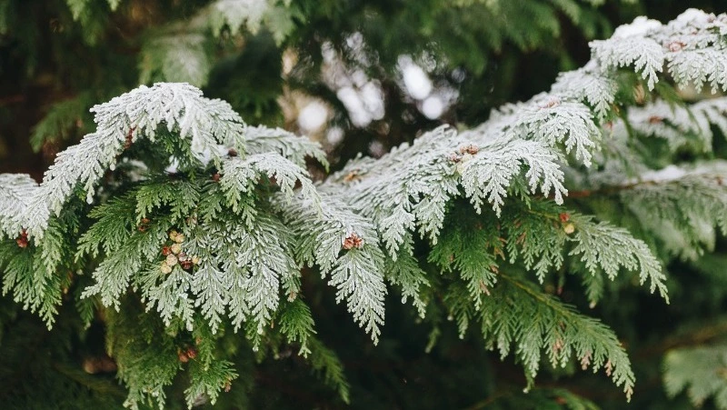 27 февраля: праздники в этот день и памятные события