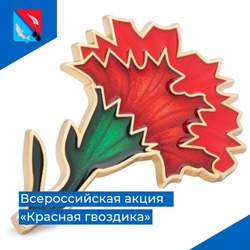 Акция «Красная гвоздика»