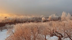 Стало известно, какой будет погода на Сахалине и Курилах в первый день весны