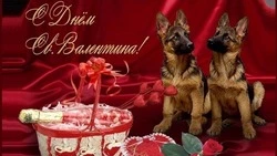 День всех влюбленных, 14 февраля 2024: картинки и открытки 