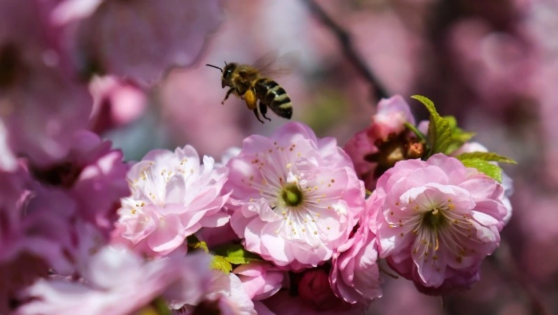 Народные приметы на 28 апреля 2024 года: что строго нельзя делать в этот  