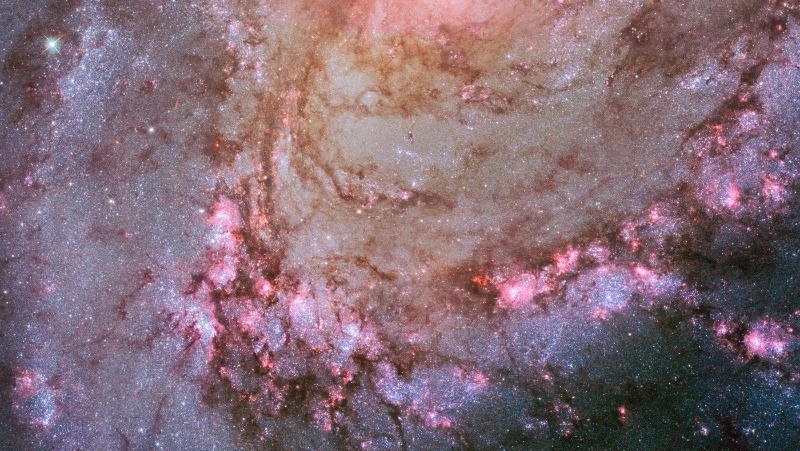 Гороскоп на 26 декабря 2023 года по всем знакам зодиака