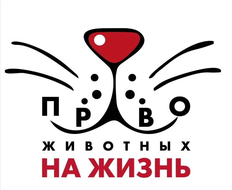 Спасибо  за поддержку!