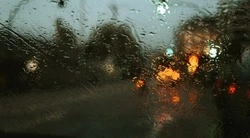 Дождливый и пасмурный день ожидается в Сахалинской области 10 июля 