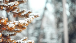 Церковный праздник 2 февраля 2024 года: что строго нельзя делать в этот день 