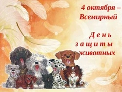 Картинки с Всемирным днем защиты животных 2024   