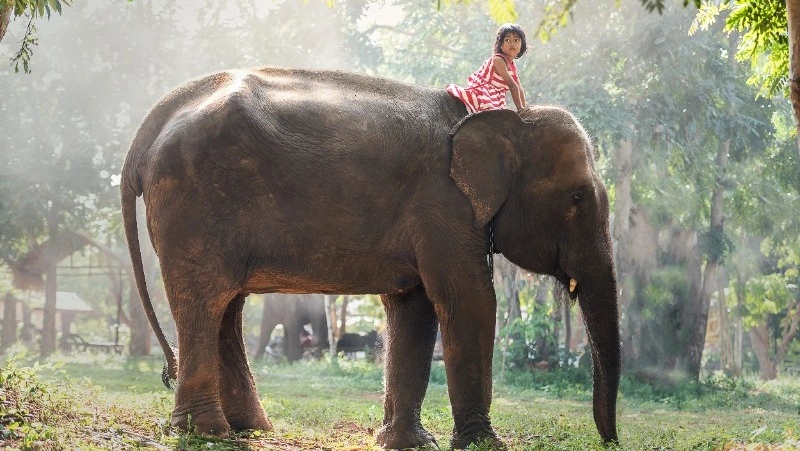 13 марта: праздники в этот день и памятные события  