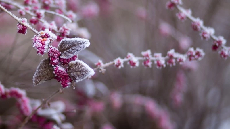 Народные приметы на 10 января 2024 года: что строго нельзя делать в этот день