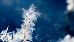 Крещенские морозы и северный ветер: погода на Сахалине и Курилах 19 января 