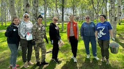 Вооружились кистями
