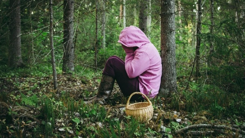 Осень – время «потеряшек»