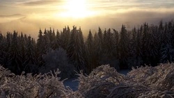 Церковный праздник 12 февраля 2024 года: что строго нельзя делать в этот день 