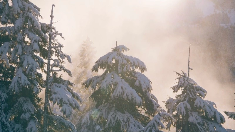 Народные приметы на 3 марта 2024 года: что строго нельзя делать в этот день 