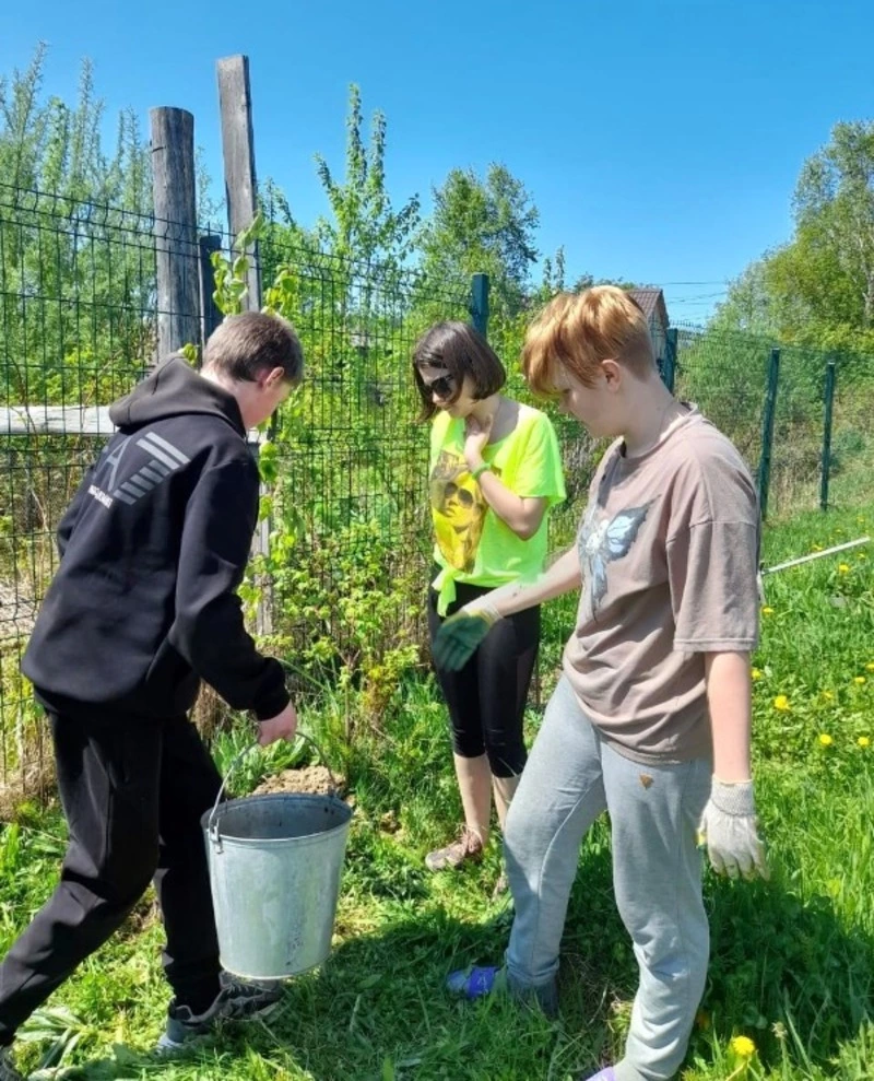 Облагораживают малую родину